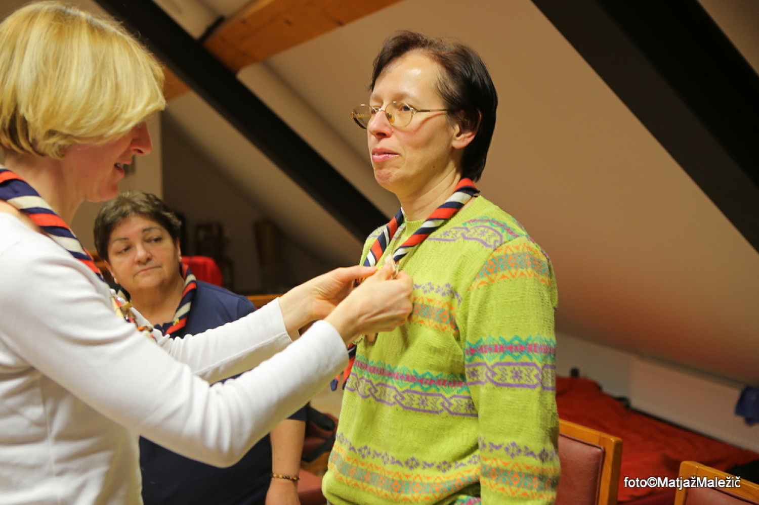 Klinček za Vztrajno medvedko