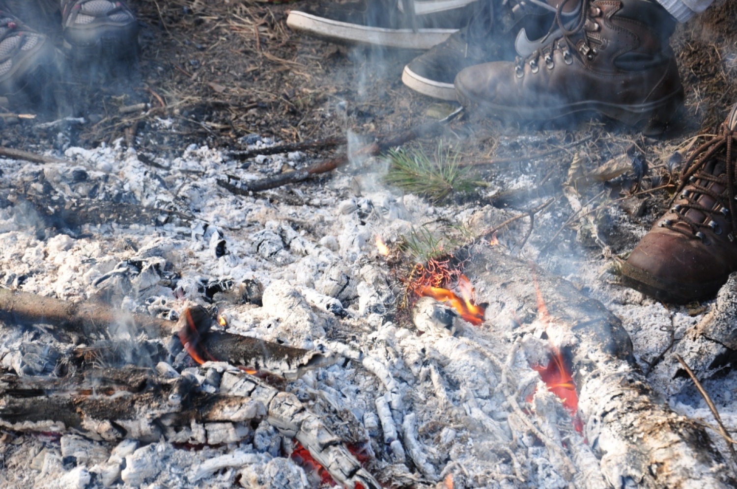 TZV 2 - Zmajevi bojevniki