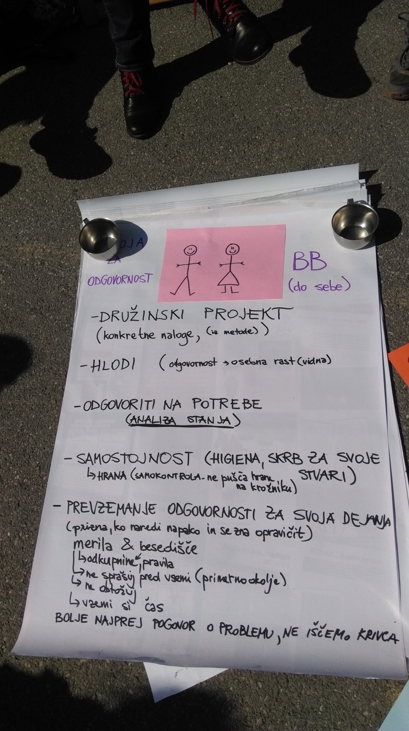 Kličem te voditelj bobrov in bobrovk