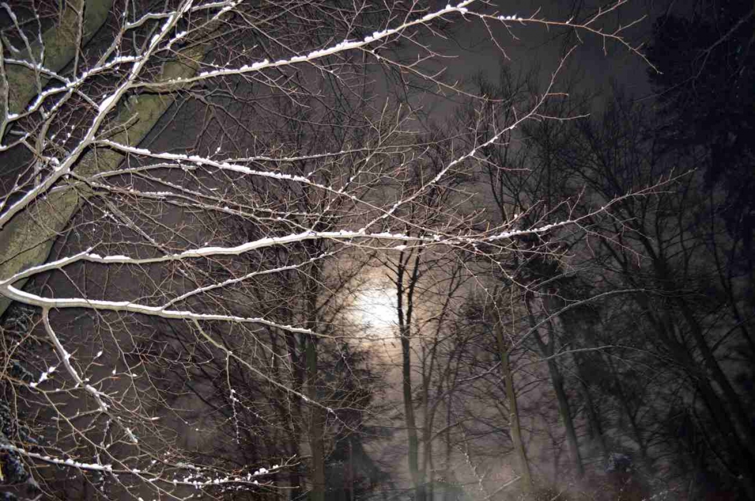 en dan do polne lune