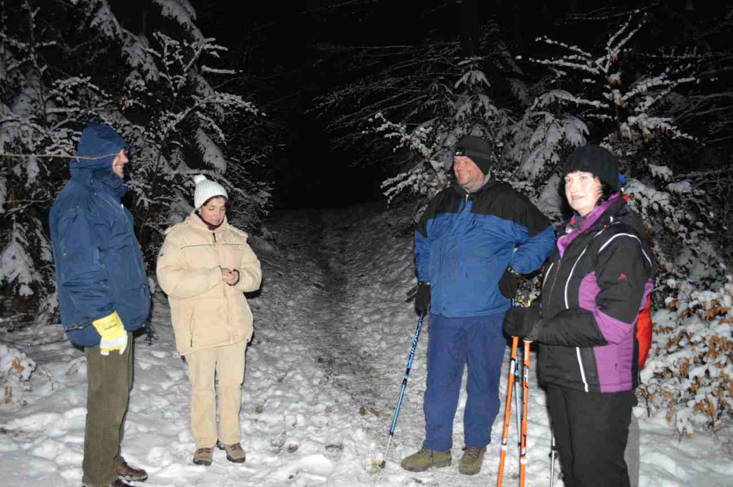 refleksija nočnih glasov