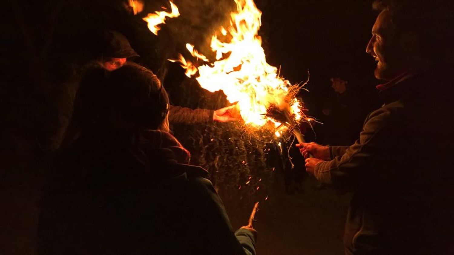 Ta veseli dan ali državni posvet starih volkov