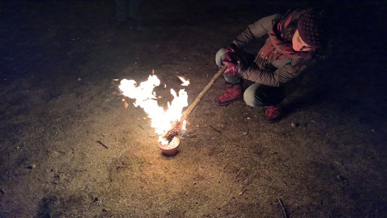Ta veseli dan ali državni posvet starih volkov