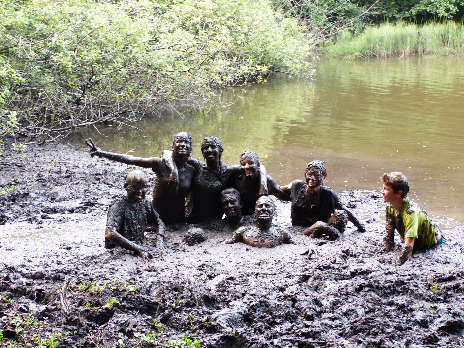 TZV 4  - Tisoč in ena zvezda