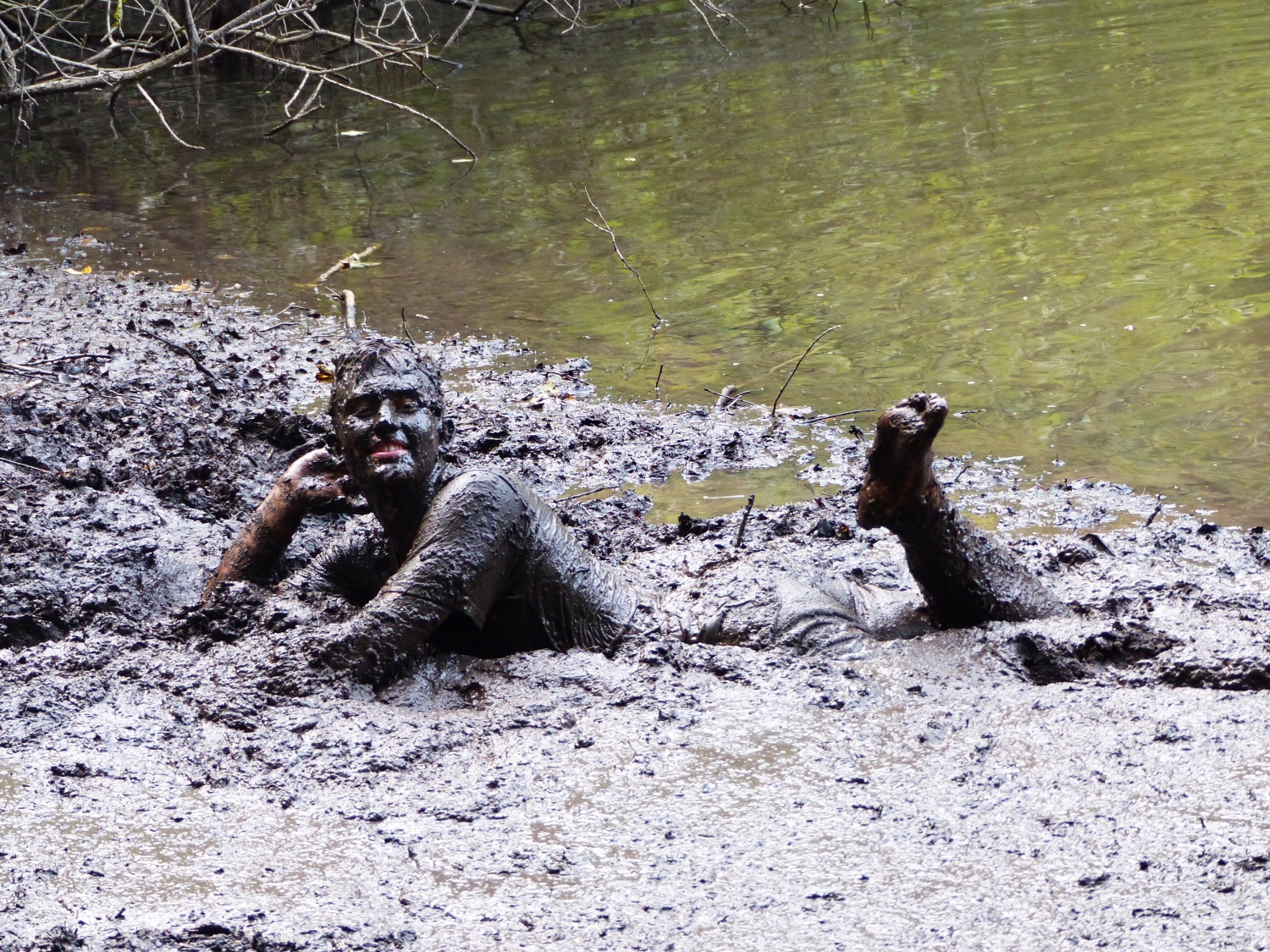 TZV 4  - Tisoč in ena zvezda