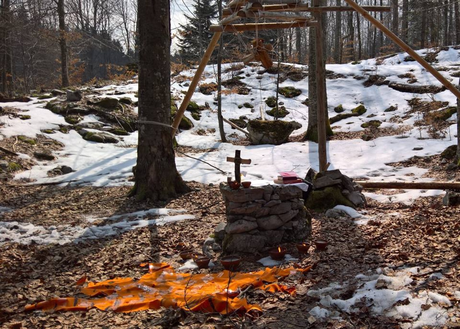 Ta veseli dan ali državni posvet starih volkov