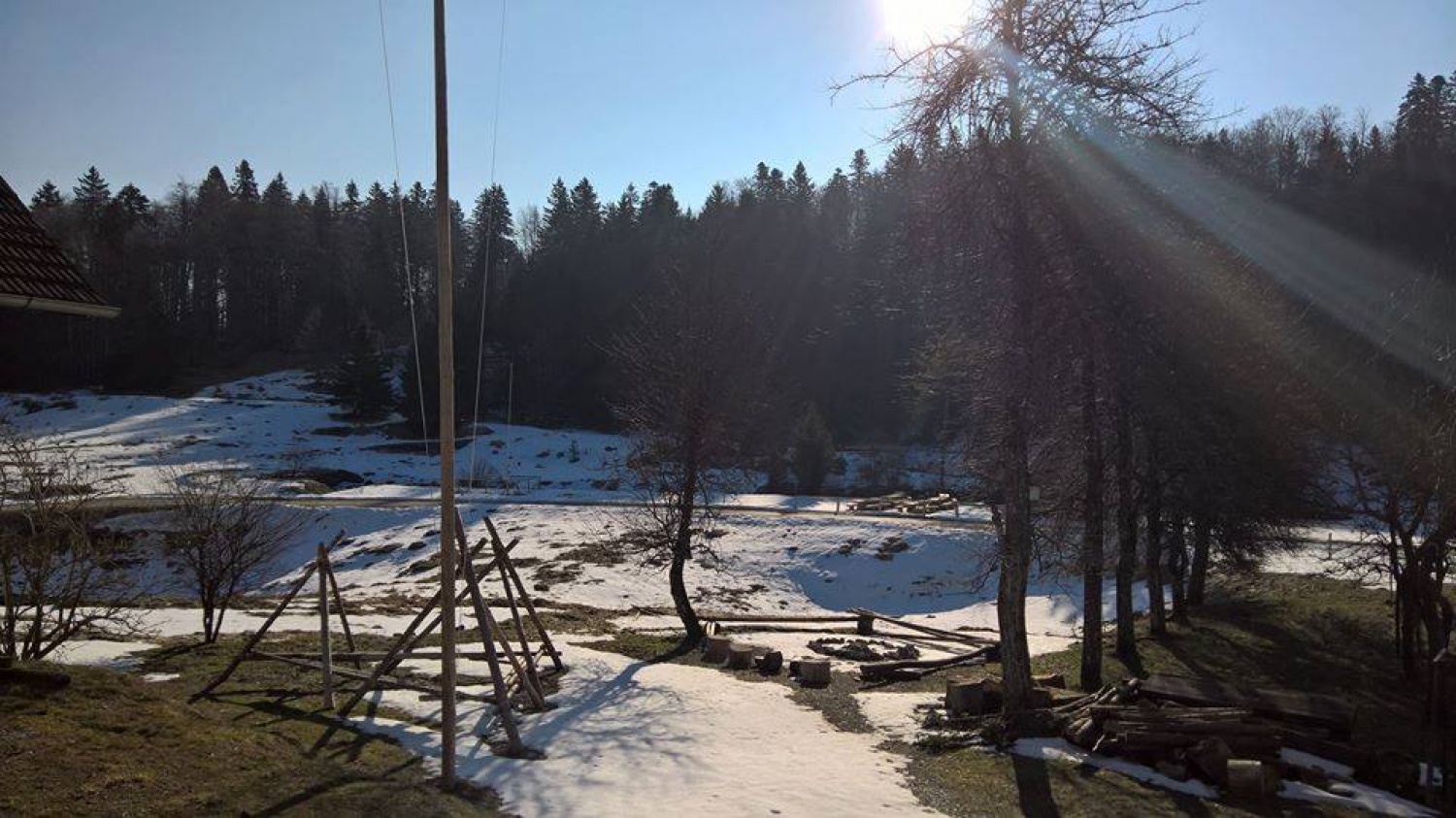 Ta veseli dan ali državni posvet starih volkov