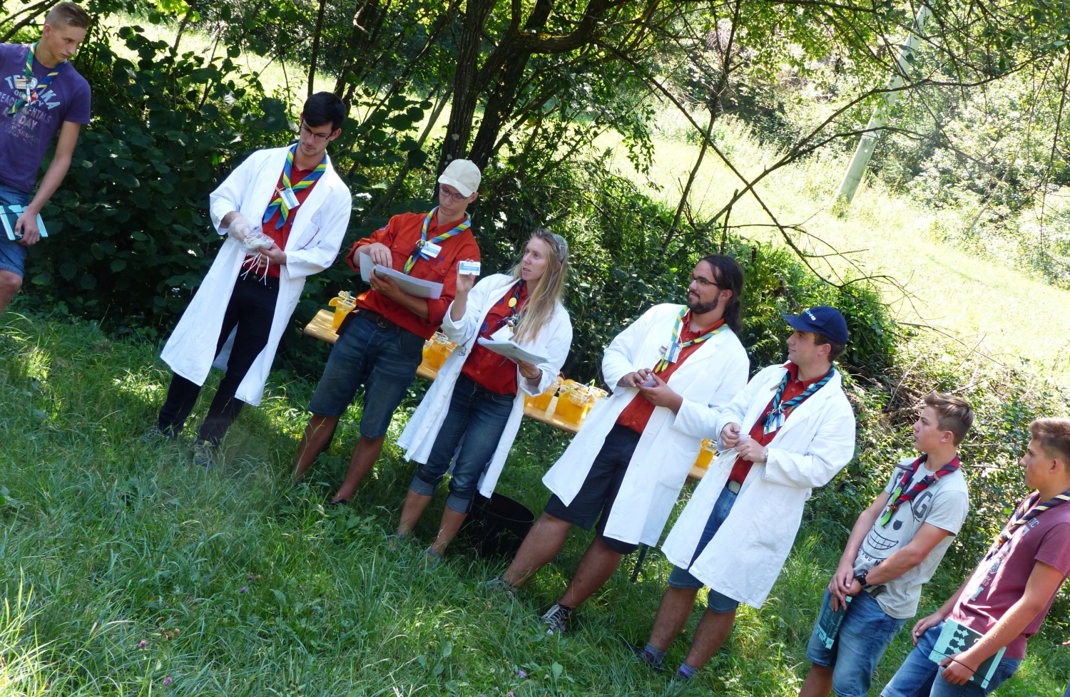 TZV 4  - Tisoč in ena zvezda