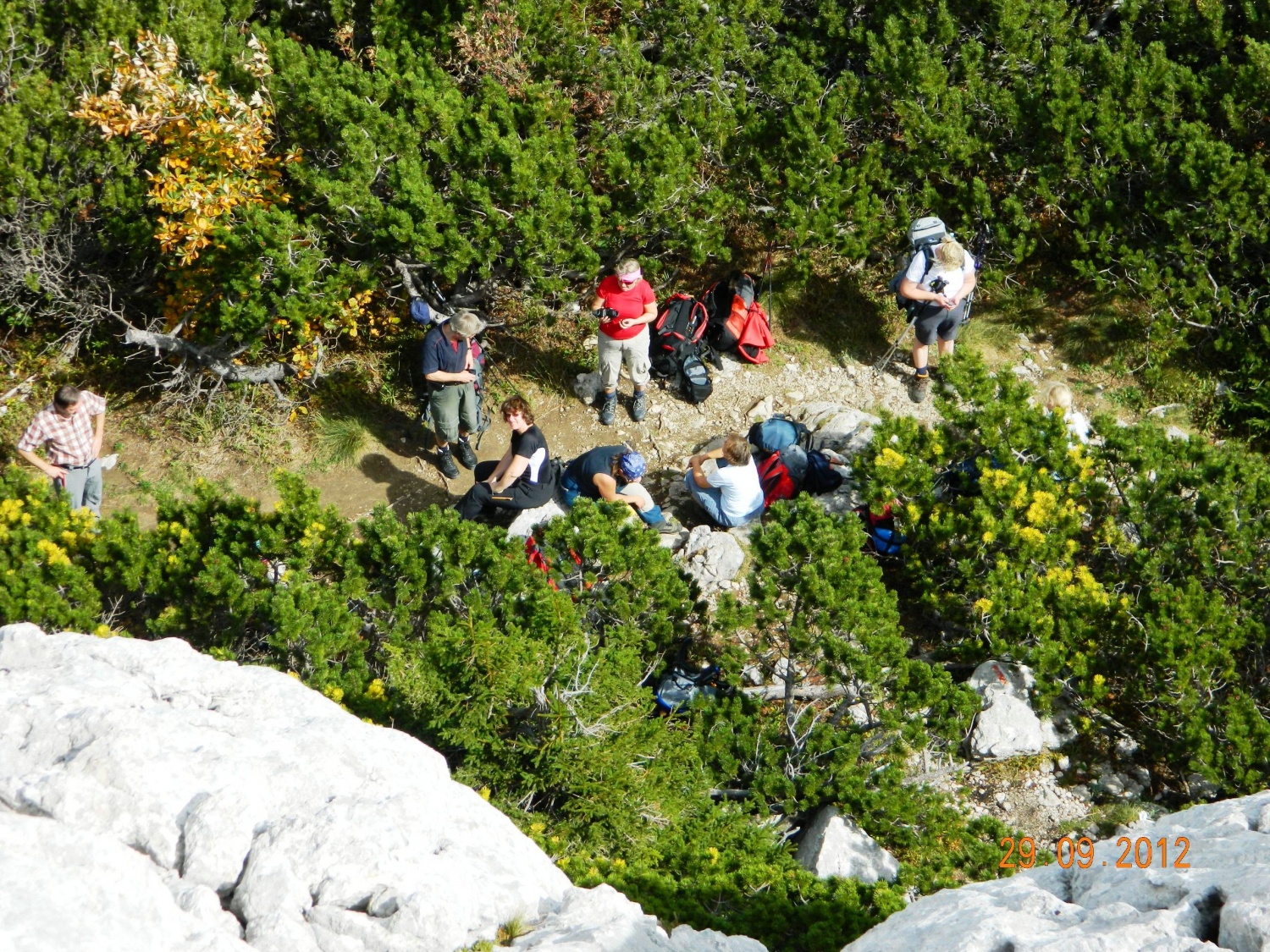 Nekateri so se povzpeli malo višje