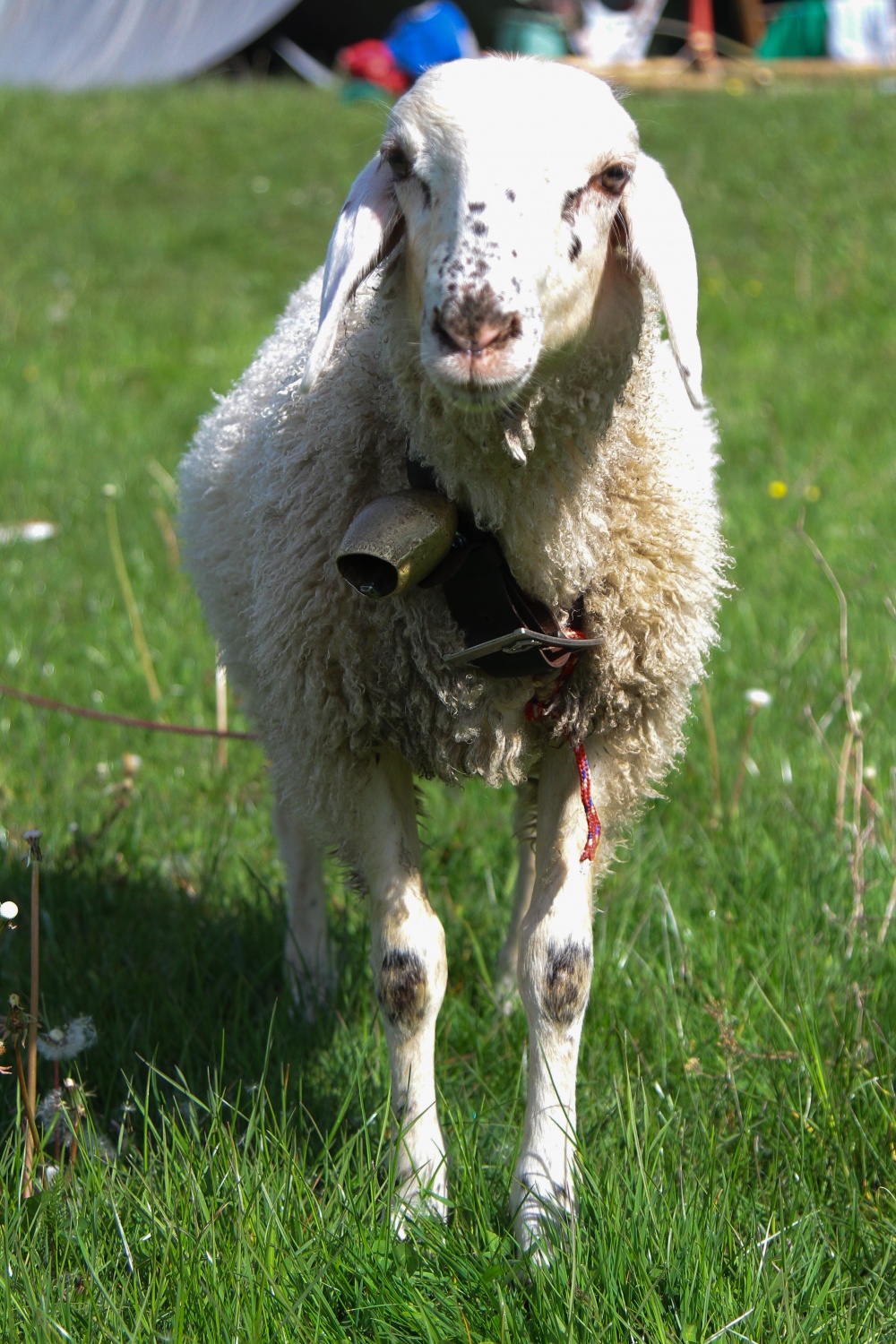 Zaveži! Odveži! Povij! Ponovno uporabi!