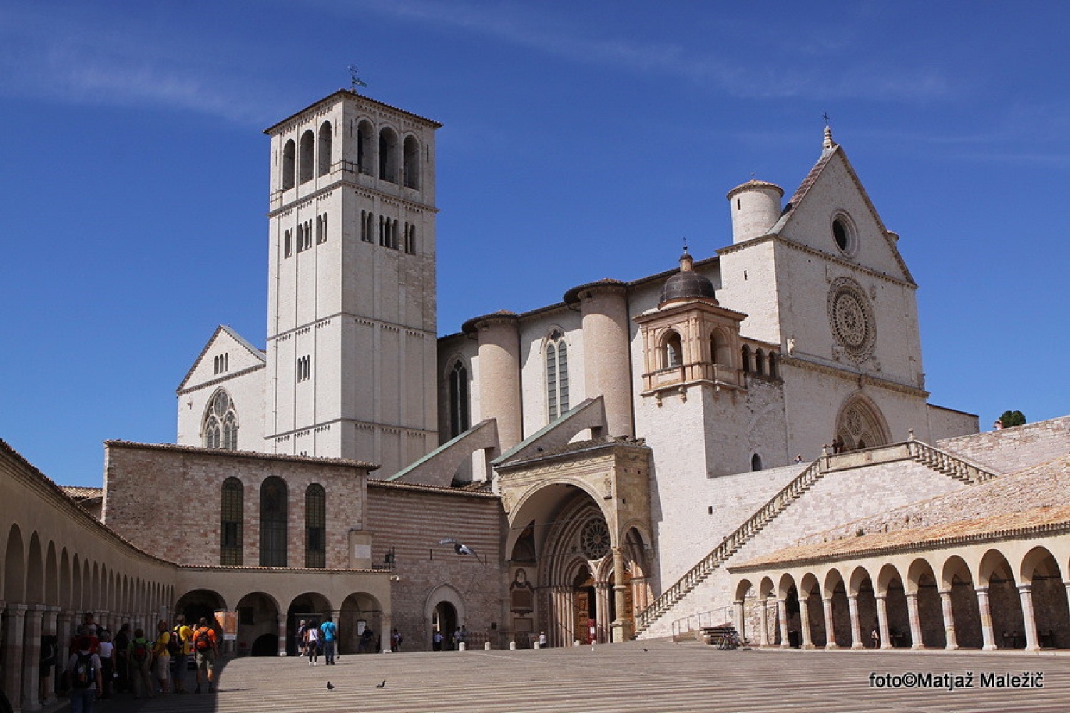 bazilika sv.Frančiška