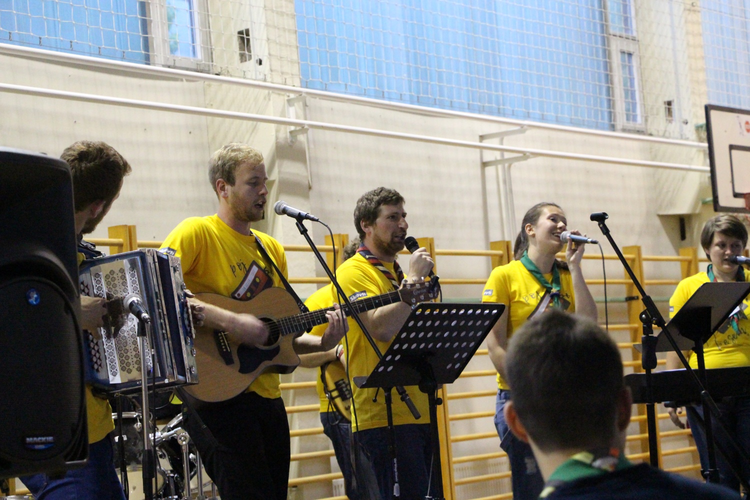 IV IZZIV 2017 – Poj si pesem …