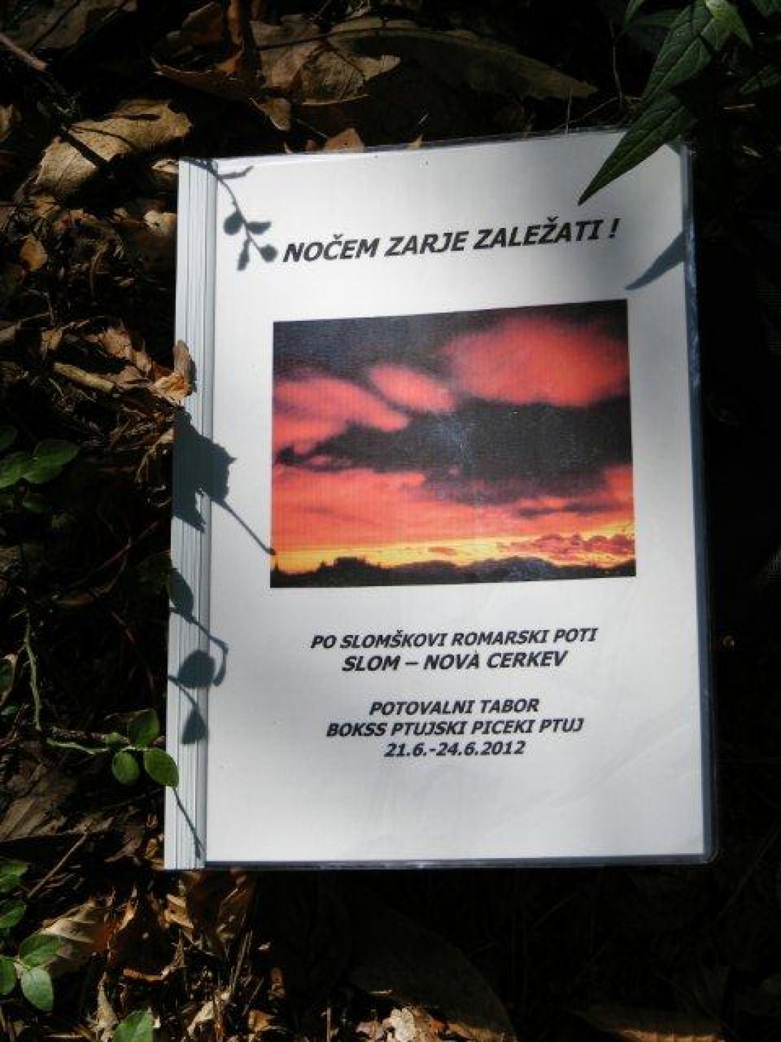 Potovalni tabor BOKSS Ptujski piceki: "Nočem zarje zaležati!"