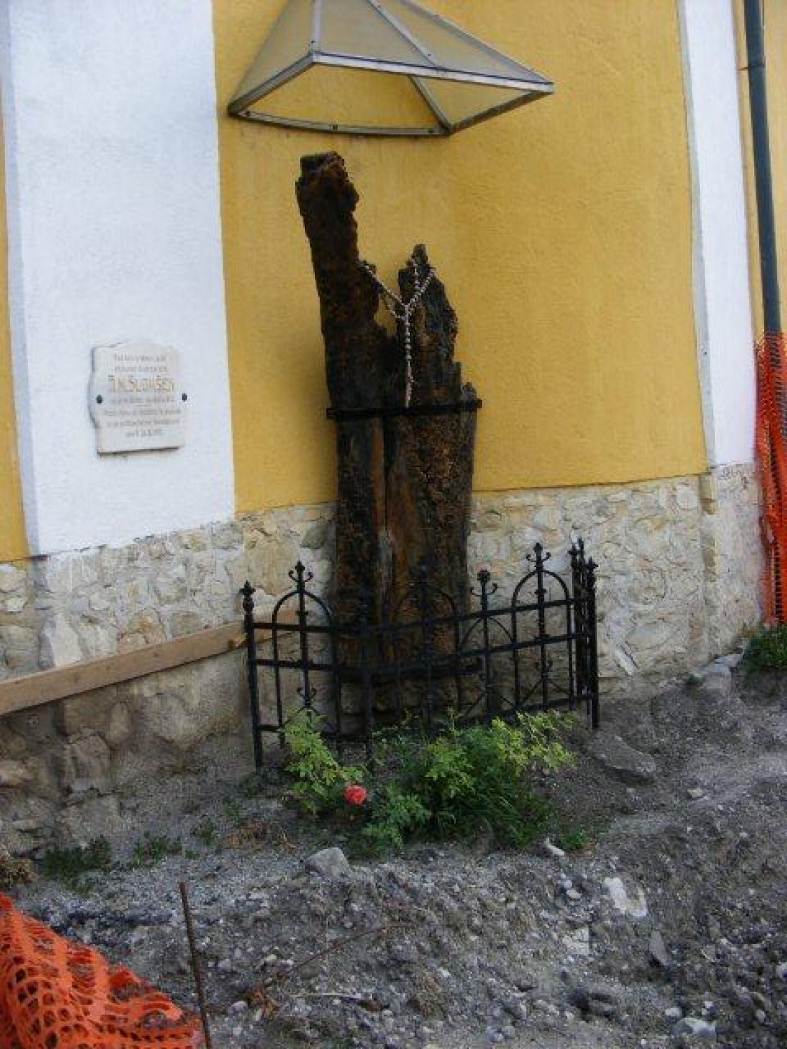 Potovalni tabor BOKSS Ptujski piceki: "Nočem zarje zaležati!"