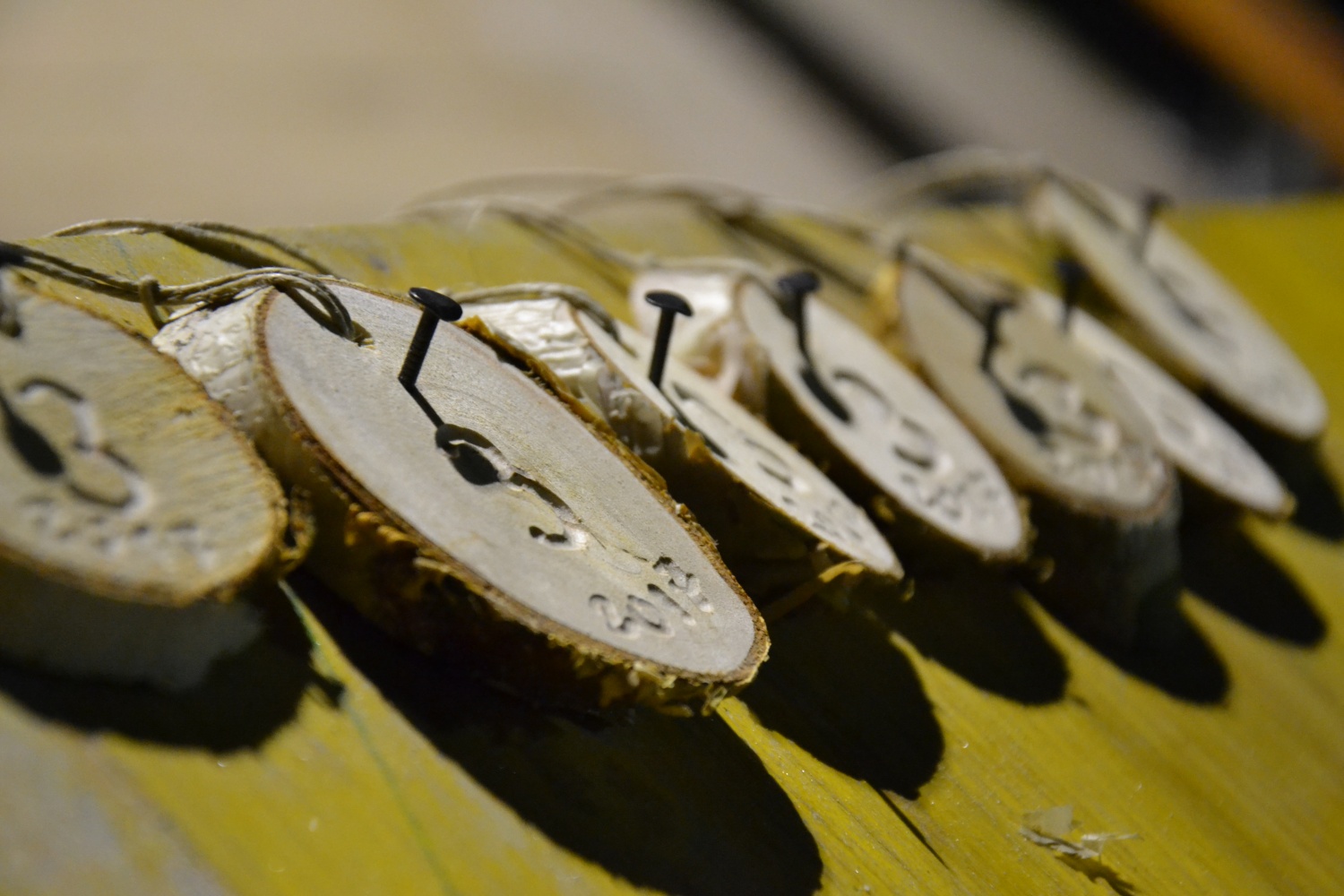 Sončno Količkanje 2017