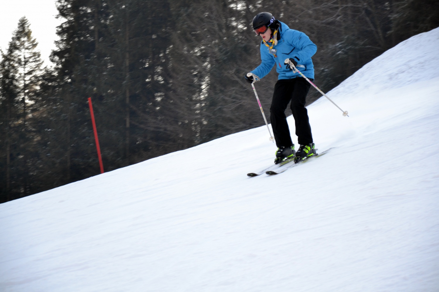 Sončno Količkanje 2017