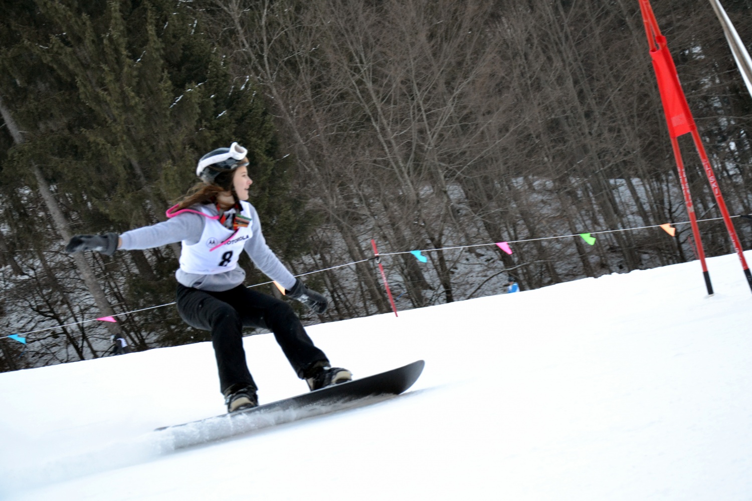 Sončno Količkanje 2017