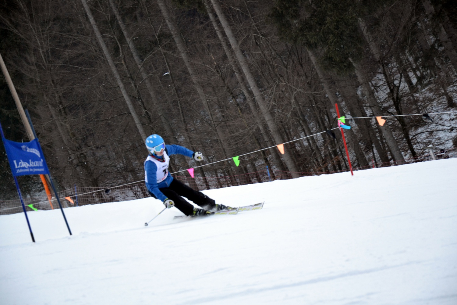Sončno Količkanje 2017