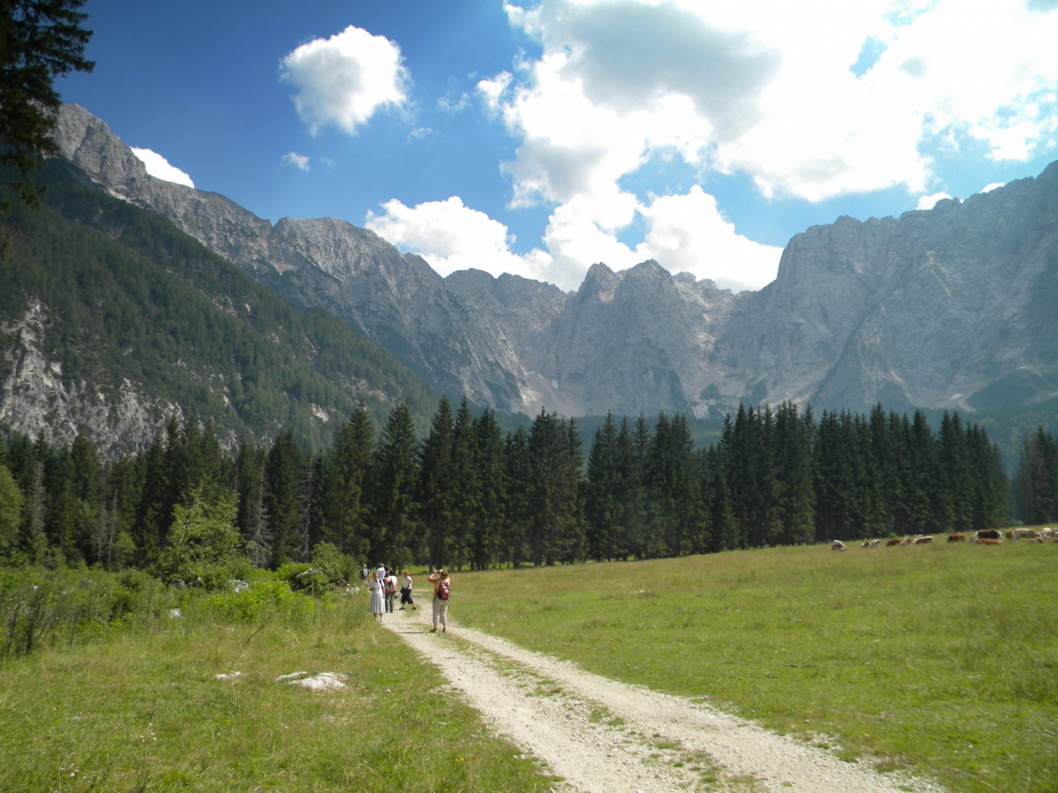Sprehod v prelepi naravi.