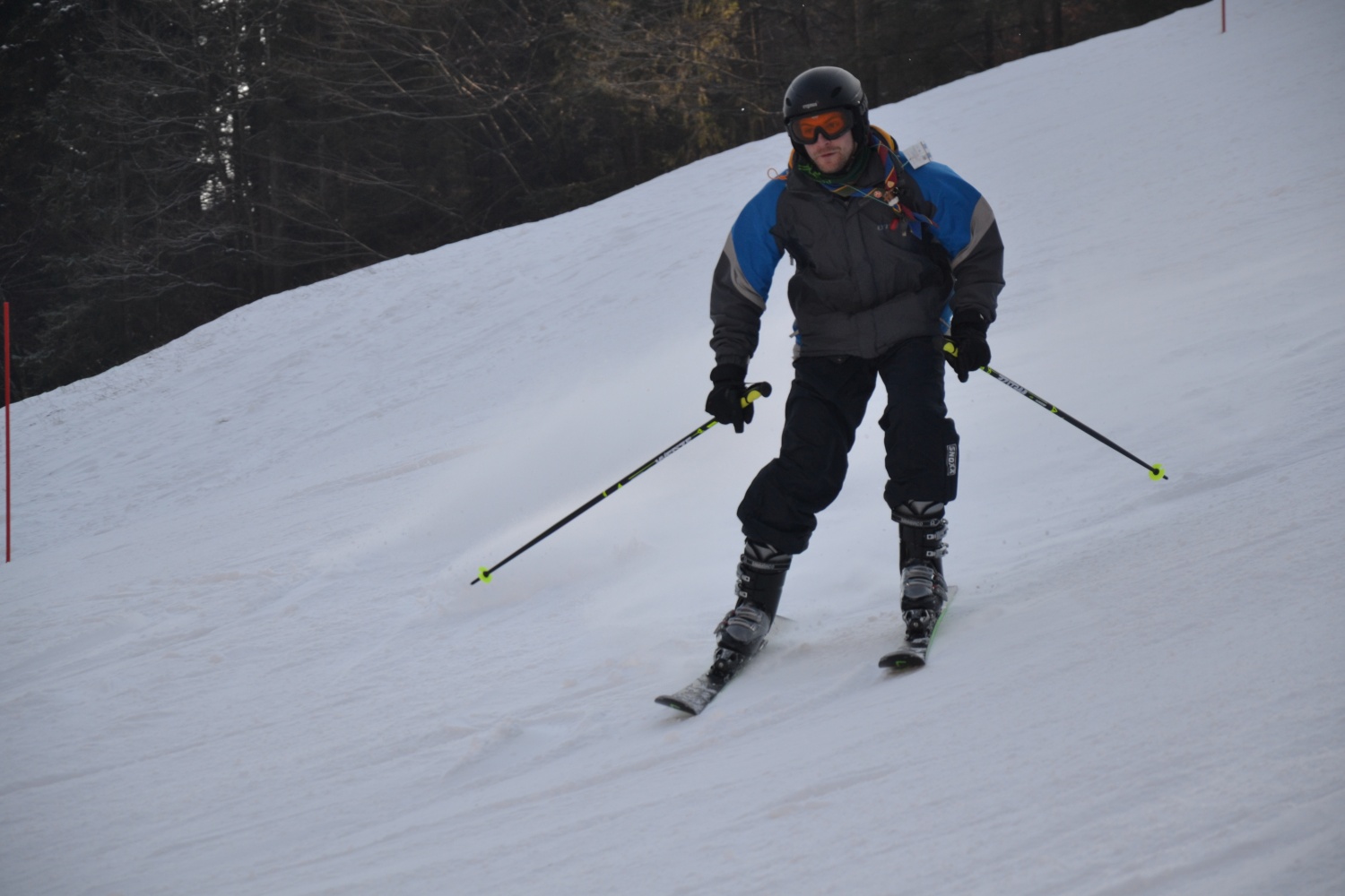 Sončno Količkanje 2017