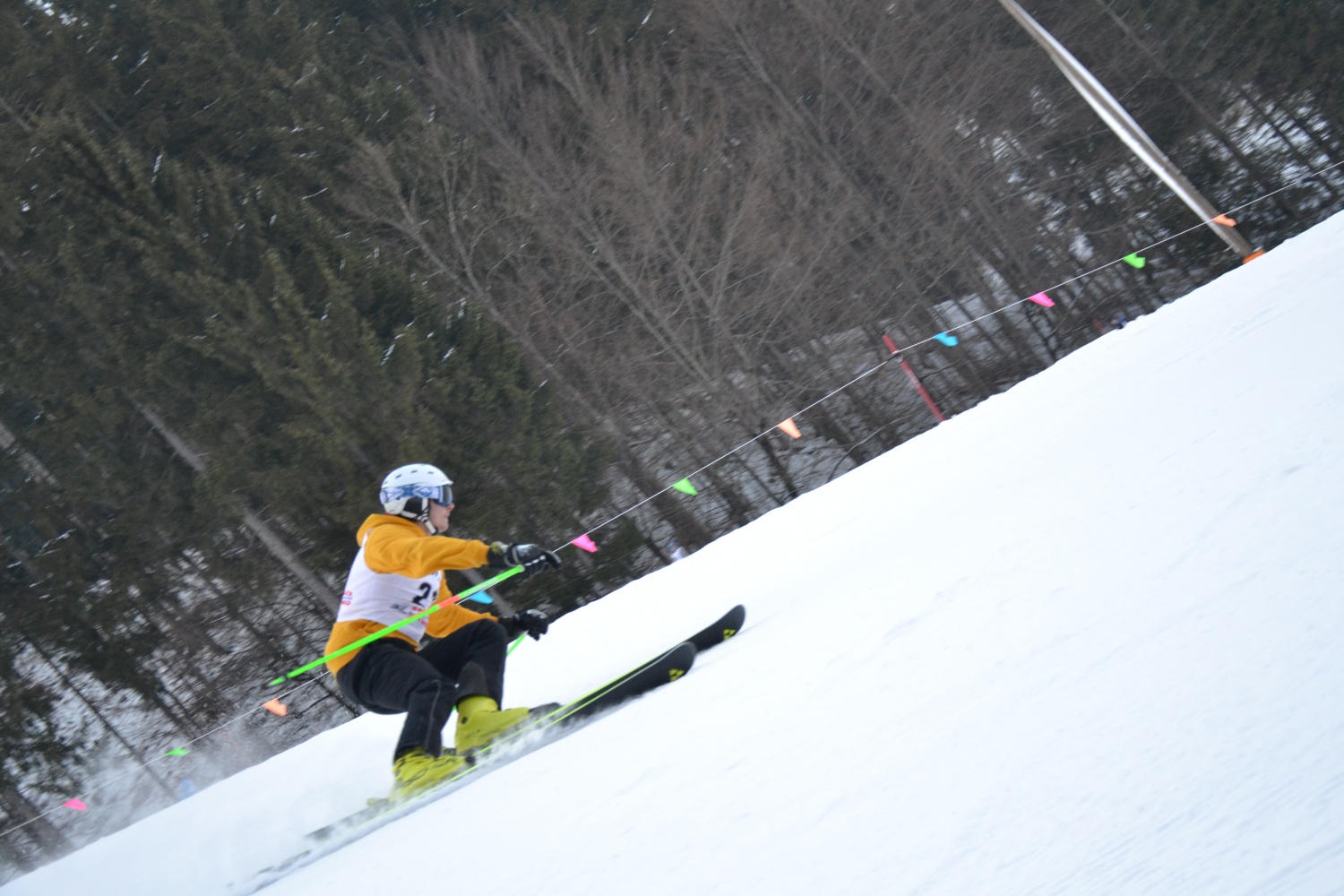 Sončno Količkanje 2017