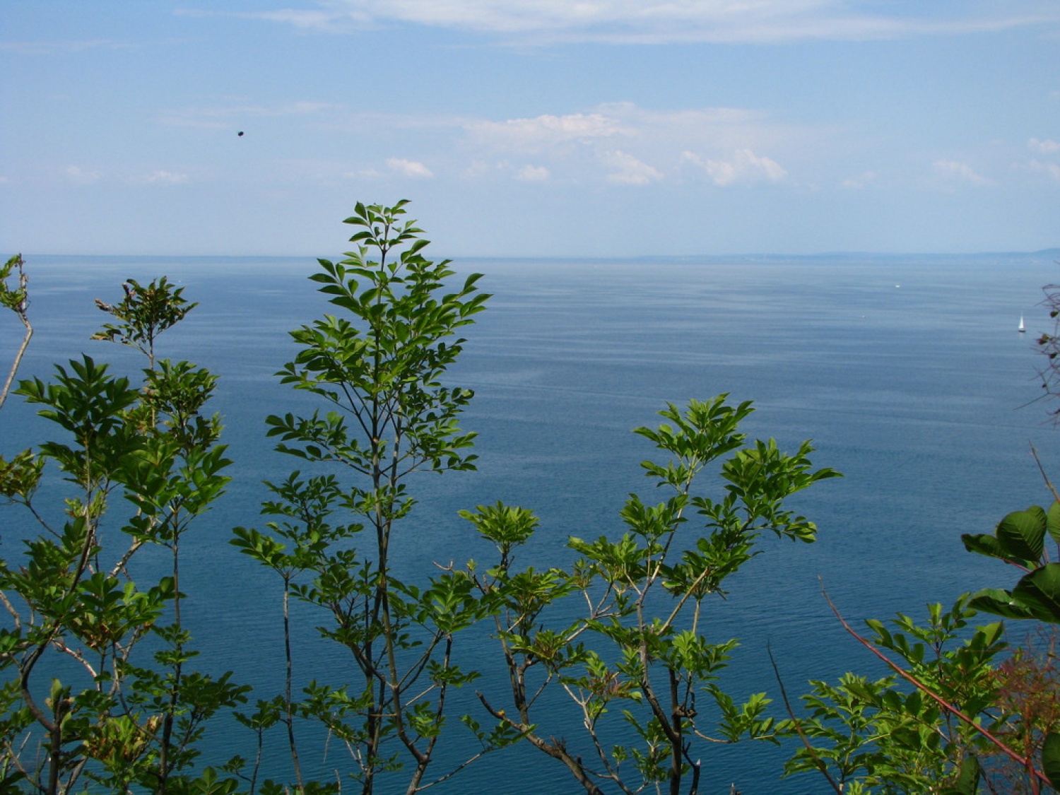 Skavtska akademija bo tokrat na morju (FOTO)