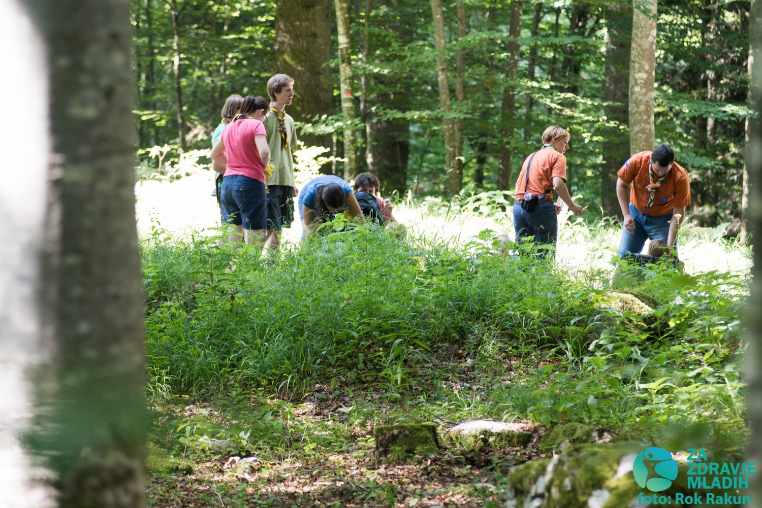 FOTO in VIDEO: Tabor družin 2015 - 2. termin