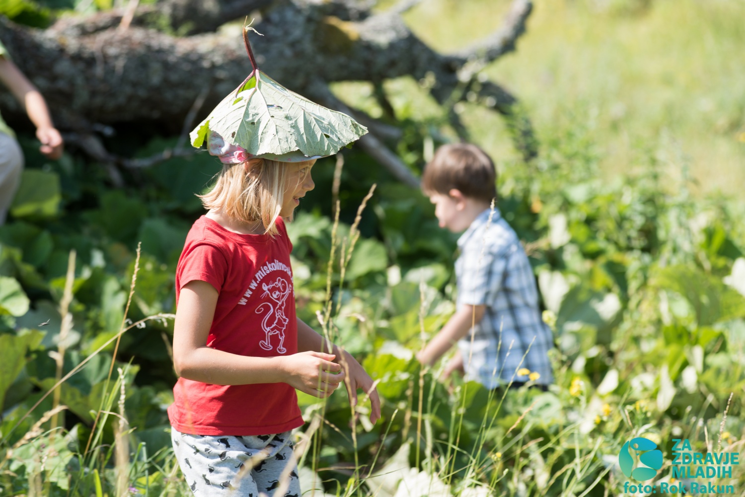 FOTO in VIDEO: Tabor družin 2015 - 2. termin