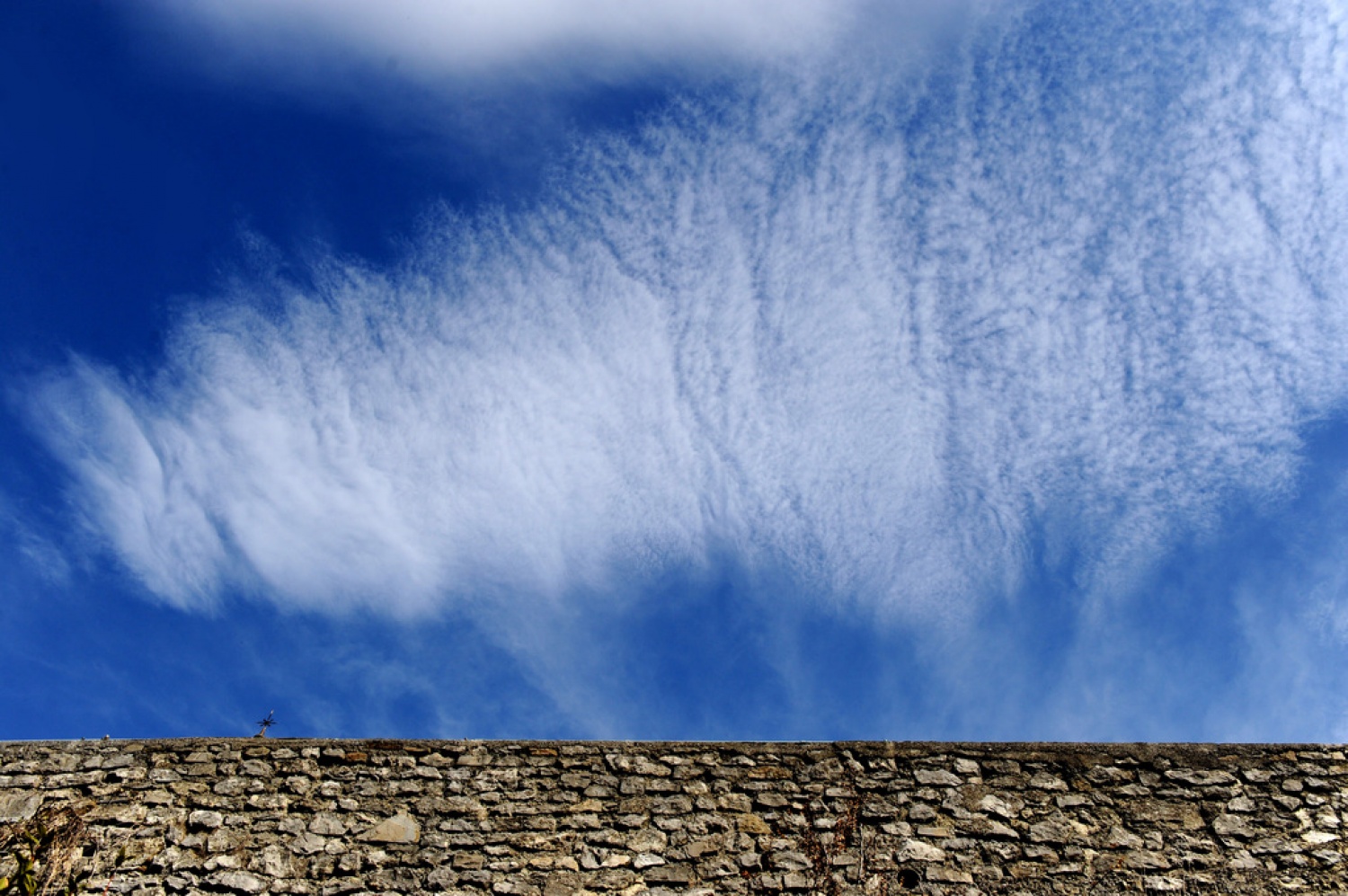 Skavtski tabor s profesionalnim fotografom (FOTO)