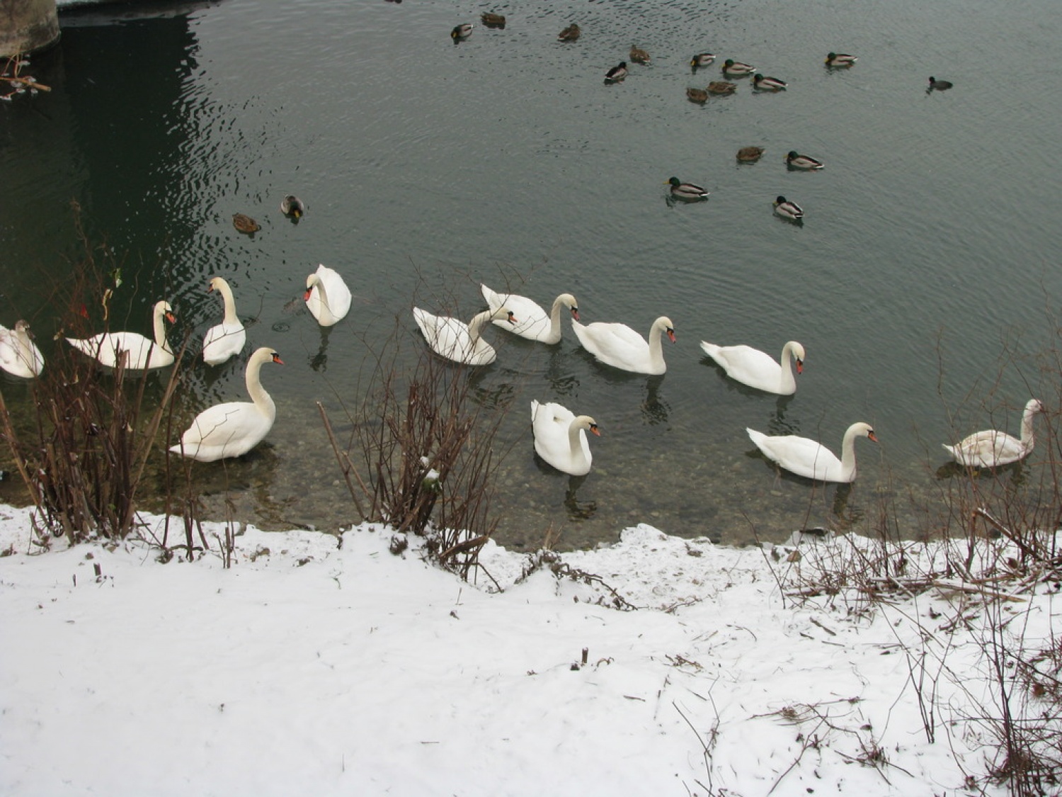 Skavtska akademija ZBOKSS: Učimo se skupaj
