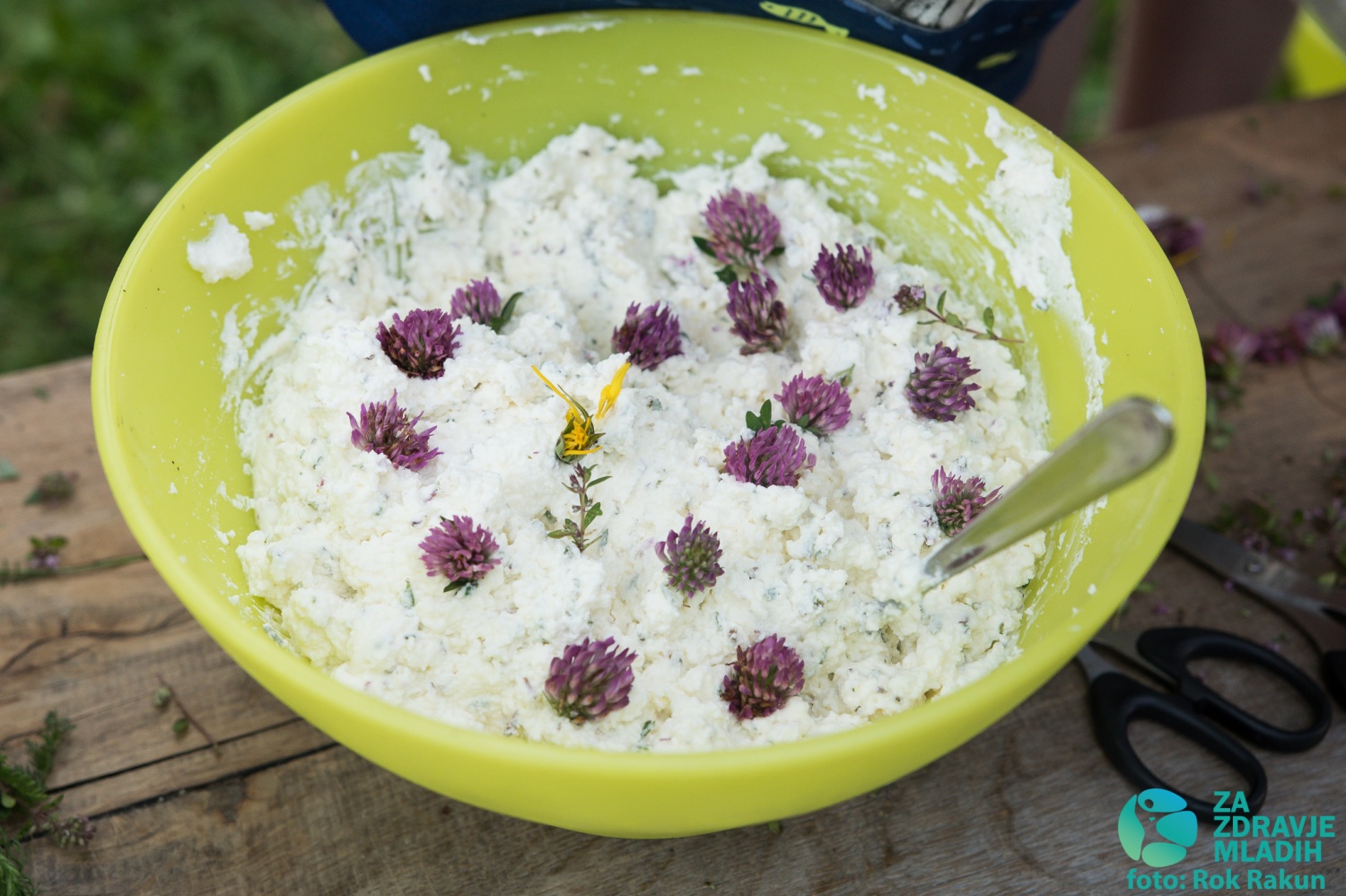 Tabor družin 2015 - 1. termin