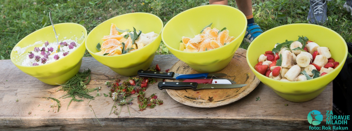 Tabor družin 2015 - 1. termin