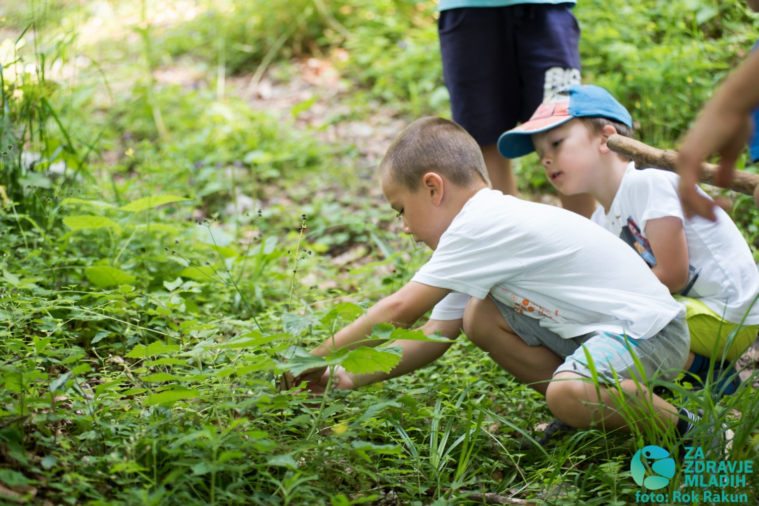 Tabor družin 2015 - 1. termin