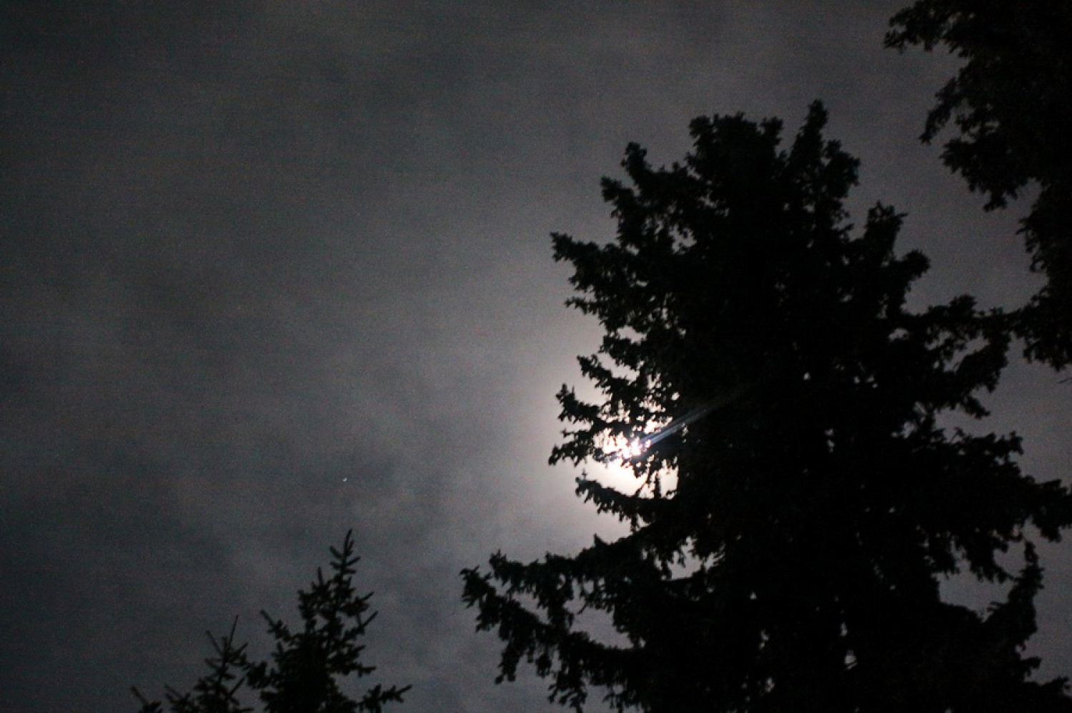 Zopet se je prikazala luna