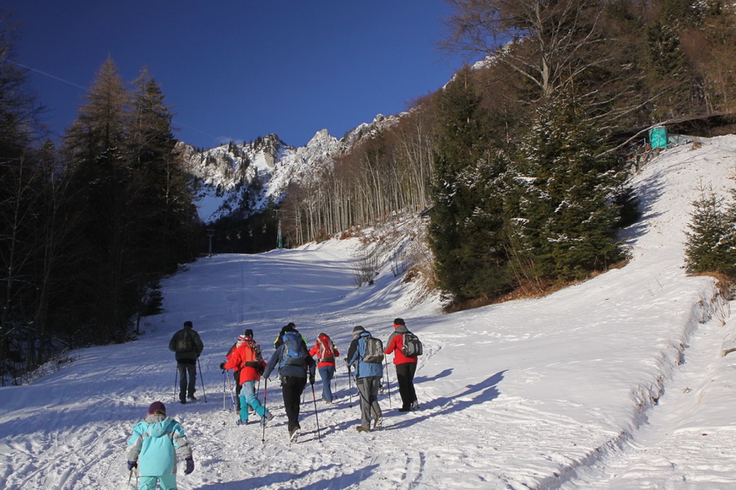 Spodnji del zeleniškega smučišča