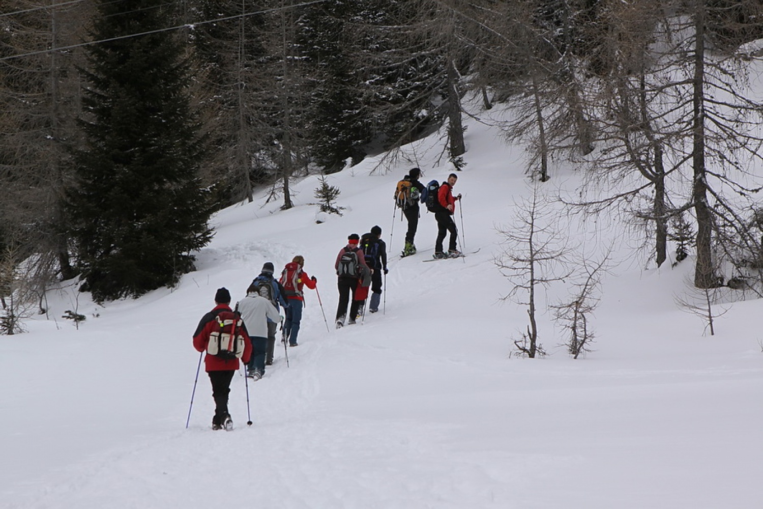 Naprej proti Trianglu.