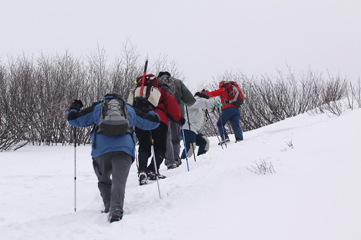 Malce snega je pa le bilo.