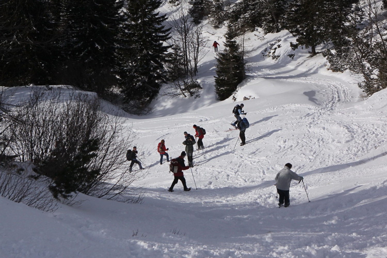 Namesto tečaja pohodništva - pohod (FOTO)