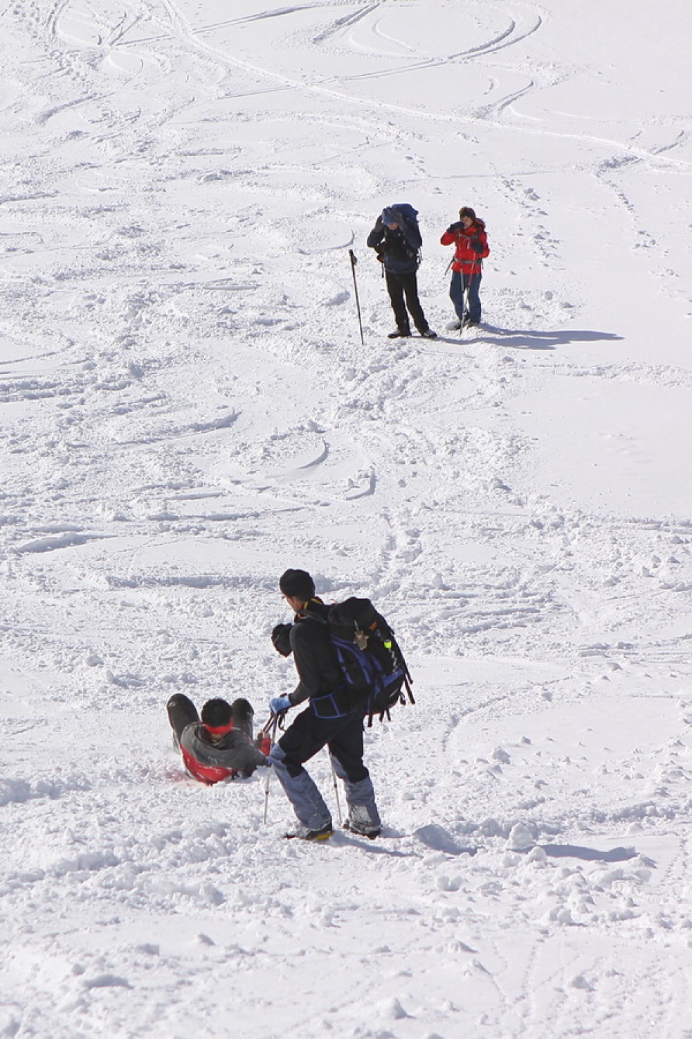 Šlo je tudi po riti
