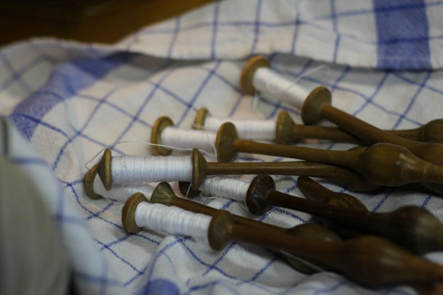 Vtisi iz zimovanja Vztrajnih ruševcev in Danijelovih sov