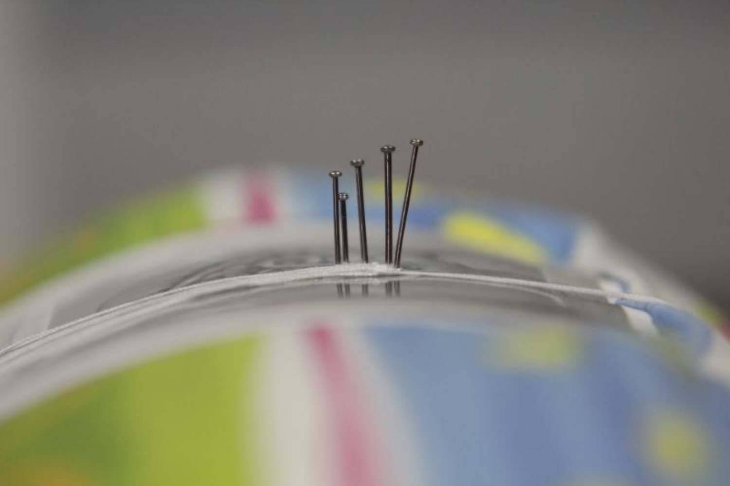 Vtisi iz zimovanja Vztrajnih ruševcev in Danijelovih sov