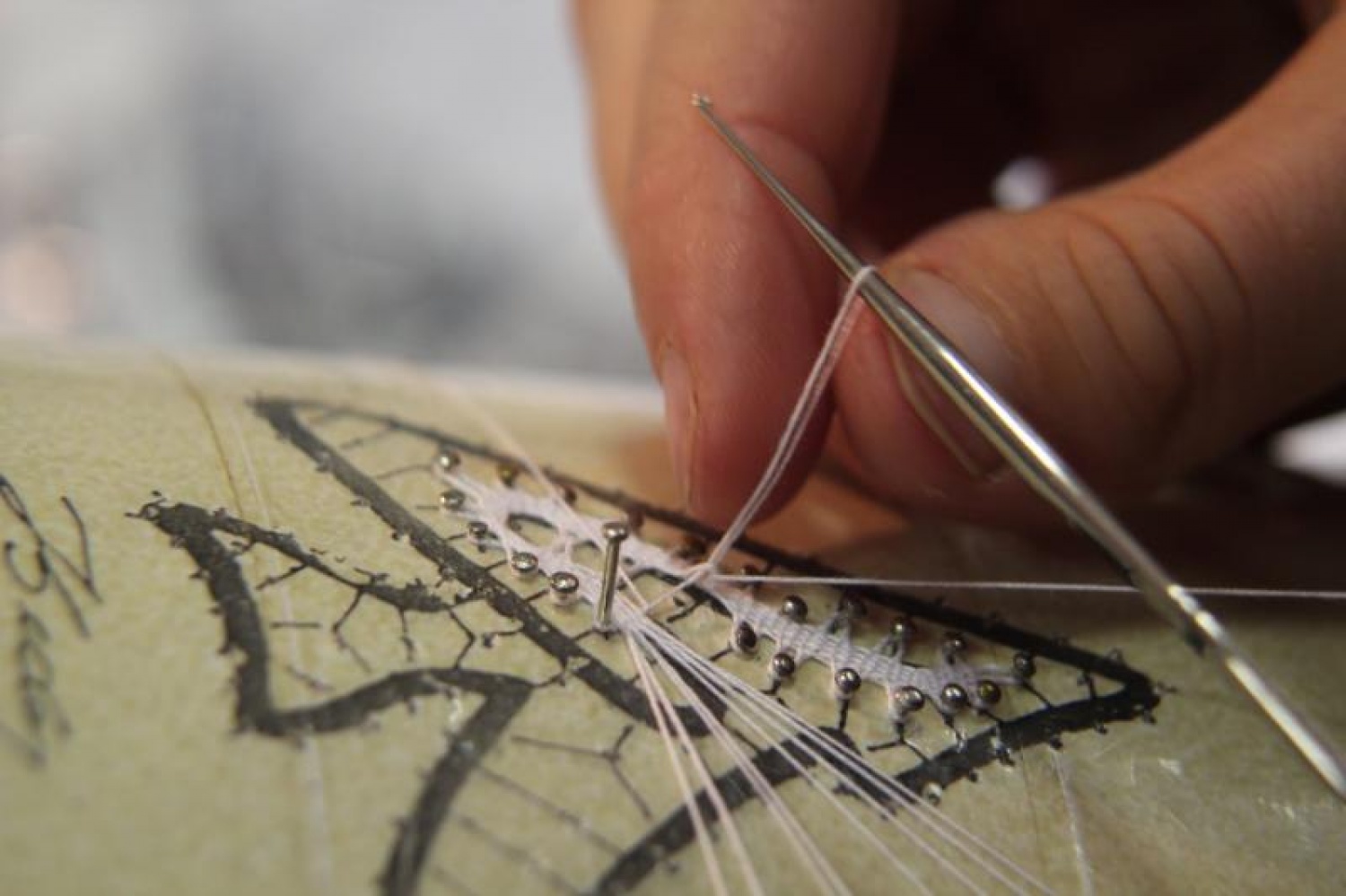 Vtisi iz zimovanja Vztrajnih ruševcev in Danijelovih sov