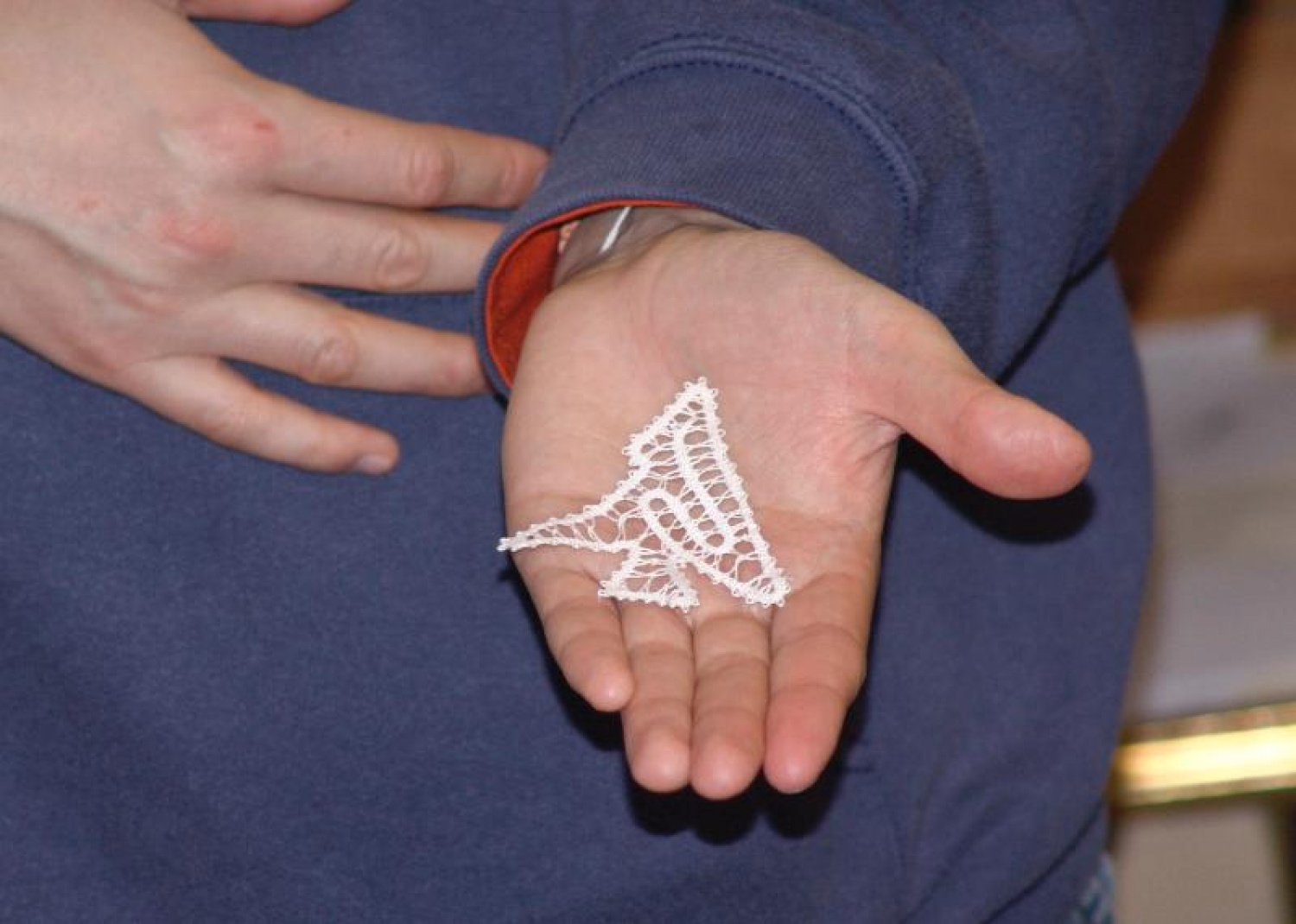 Vtisi iz zimovanja Vztrajnih ruševcev in Danijelovih sov