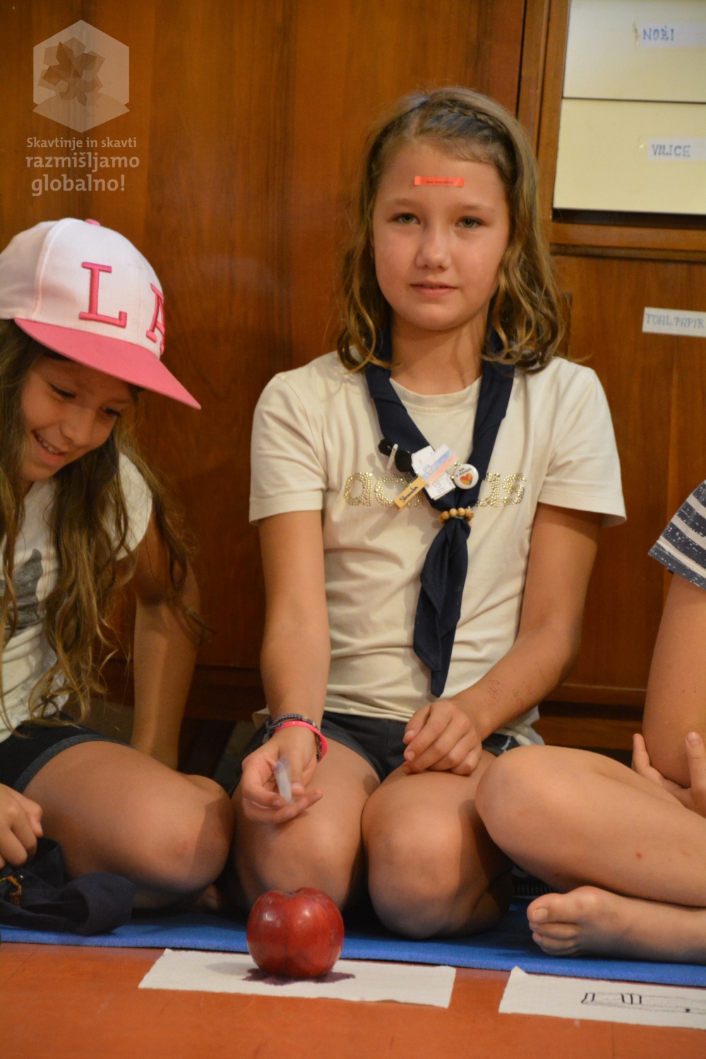 Popotovanje jabučka iz Kitajske – zgodba iz poletnega volčjega tabora Novo Mesto 1