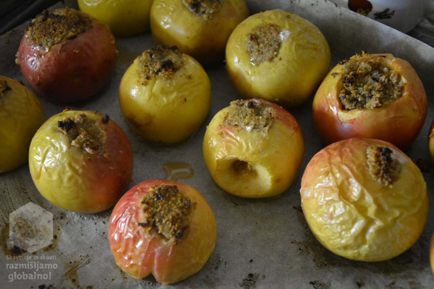 Popotovanje jabučka iz Kitajske – zgodba iz poletnega volčjega tabora Novo Mesto 1