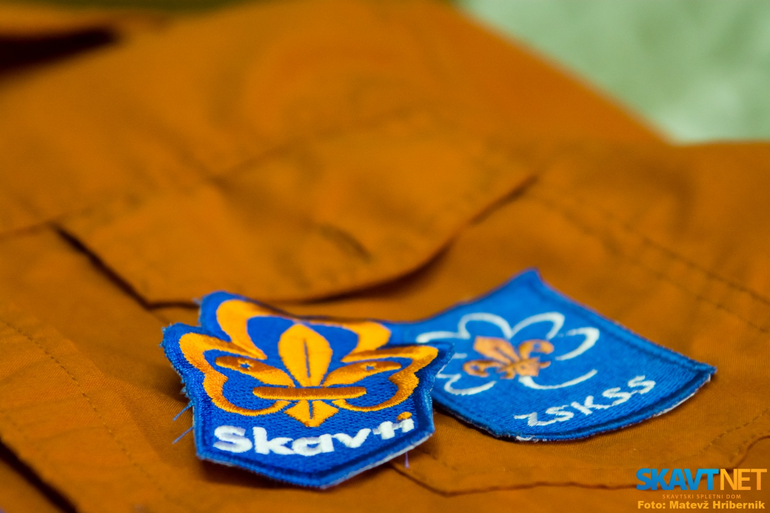 Star in nov našitek