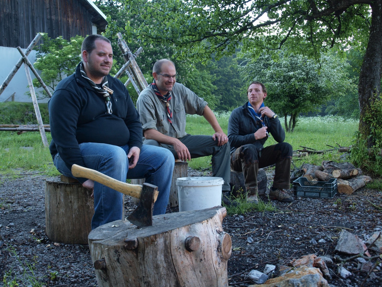 Volk, Apolon in tomərle