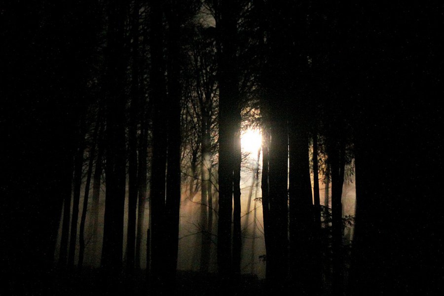 Ob polni luni na Blegoš - že tretjič z Loškimi medvedi