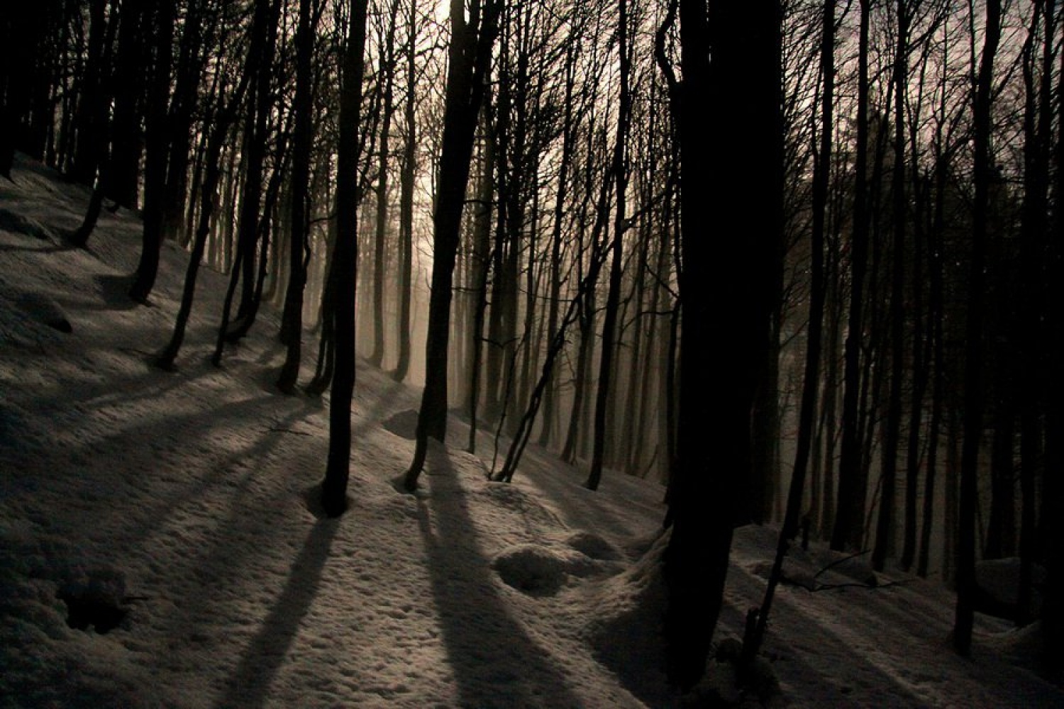 Ob polni luni na Blegoš - že tretjič z Loškimi medvedi