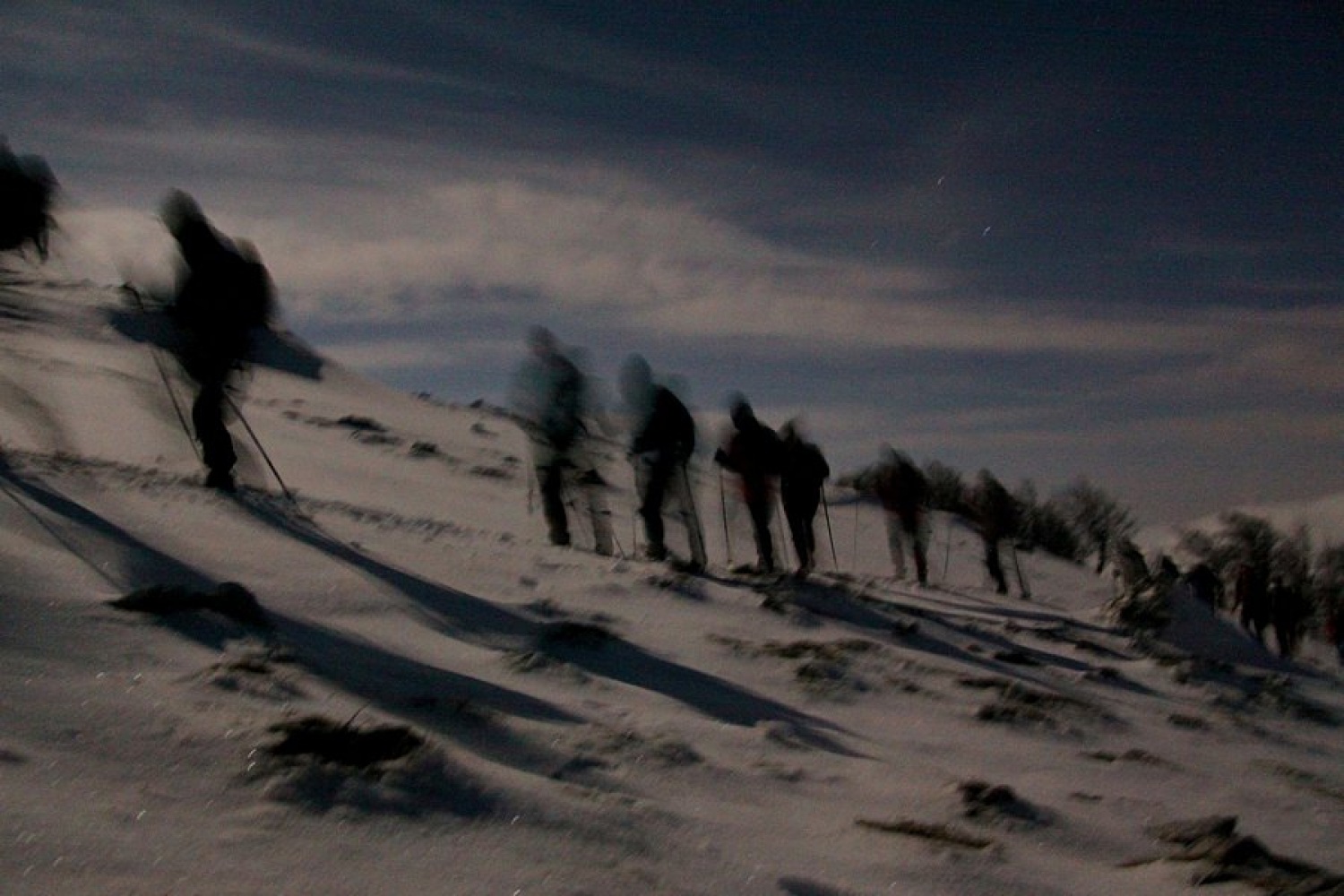 Ob polni luni na Blegoš - že tretjič z Loškimi medvedi